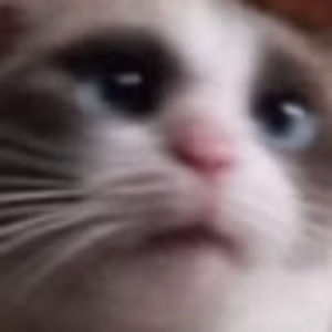 Meet your Posher, Matt